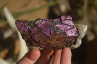 Natural Metallic Purpurite Cobbed Specimens x 5 From Erongo, Namibia