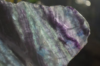 Polished Watermelon Fluorite Slices x 3 From Uis, Namibia