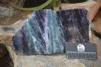 Polished Watermelon Fluorite Slices x 3 From Uis, Namibia