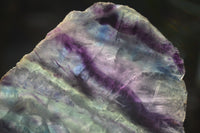 Polished Watermelon Fluorite Slices x 3 From Uis, Namibia