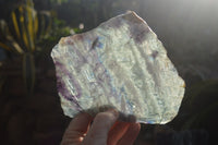 Polished Watermelon Fluorite Slices x 3 From Uis, Namibia