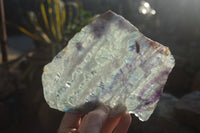 Polished Watermelon Fluorite Slices x 3 From Uis, Namibia