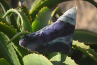 Polished Watermelon Fluorite Slices x 3 From Uis, Namibia