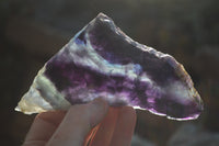 Polished Watermelon Fluorite Slices x 3 From Uis, Namibia