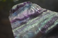 Polished Watermelon Fluorite Slices x 3 From Uis, Namibia