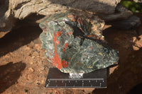 Natural Blood Stone Cobbed Specimens x 6 From Swaziland