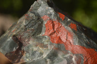 Natural Blood Stone Cobbed Specimens x 6 From Swaziland