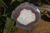 Polished Sashe River Agate Nodules x 4 From Zimbabwe