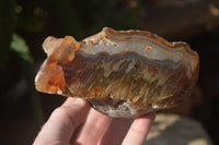 Polished River Agate Nodules x 4 From Zimbabwe