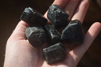 Natural Alluvial Schorl Black Tourmaline Crystals x 1kg lot From Zimbabwe