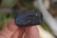 Natural Alluvial Schorl Black Tourmaline Crystals x 1kg lot From Zimbabwe