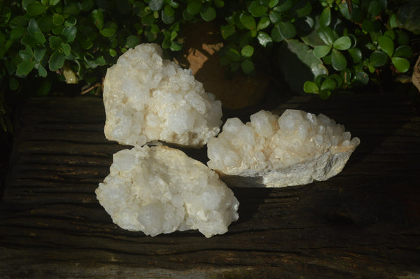 Natural Clear Quartz Clusters x 3 From Madagascar