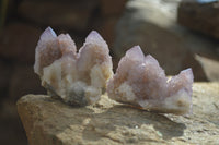 Natural Amethyst Spirit Quartz Clusters x 12 From Boekenhouthoek, South Africa