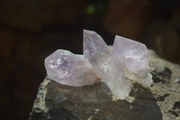 Natural Jacaranda Amethyst Single Crystals x 42 From Mumbwa, Zambia