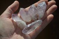 Natural Jacaranda Amethyst Single Crystals x 42 From Mumbwa, Zambia