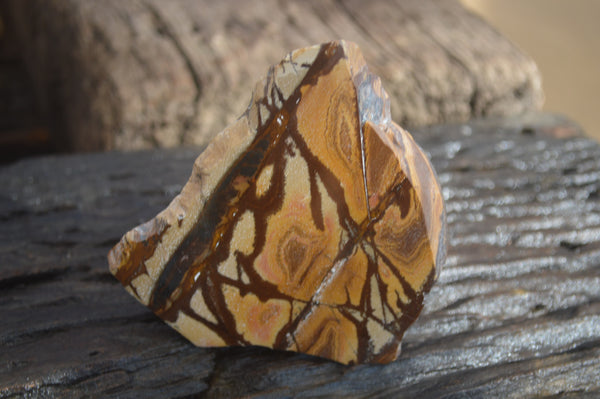 Polished On One Side Nguni Jasper Specimens x 2 From Prieska, South Africa