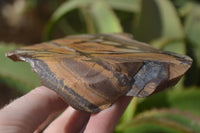 Polished On One Side Nguni Jasper Specimens x 2 From Prieska, South Africa