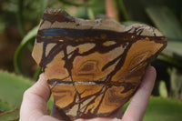 Polished On One Side Nguni Jasper Specimens x 2 From Prieska, South Africa