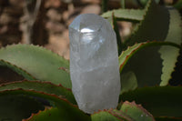 Polished Clear Quartz Crystals x 3 From Madagascar