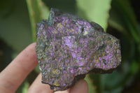 Natural Metallic Purpurite Cobbed Specimens x 12 From Erongo, Namibia