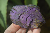 Natural Metallic Purpurite Cobbed Specimens x 12 From Erongo, Namibia