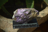 Natural Metallic Purpurite Cobbed Specimens x 12 From Erongo, Namibia