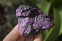 Natural Metallic Purpurite Cobbed Specimens x 12 From Erongo, Namibia