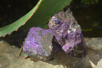 Natural Metallic Purpurite Cobbed Specimens x 12 From Erongo, Namibia