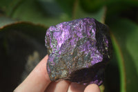 Natural Metallic Purpurite Cobbed Specimens x 12 From Erongo, Namibia