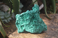 Natural Silky Malachite Specimen x 1 From Kasompe, Congo