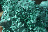 Natural Silky Malachite Specimen x 1 From Kasompe, Congo