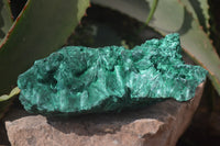 Natural Silky Malachite Specimen x 1 From Kasompe, Congo