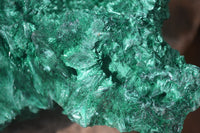 Natural Silky Malachite Specimen x 1 From Kasompe, Congo