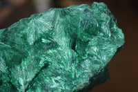 Natural Silky Malachite Specimen x 1 From Kasompe, Congo