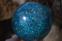 Polished Chrysocolla Conglomerate Spheres x 2 From Congo