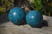 Polished Chrysocolla Conglomerate Spheres x 2 From Congo