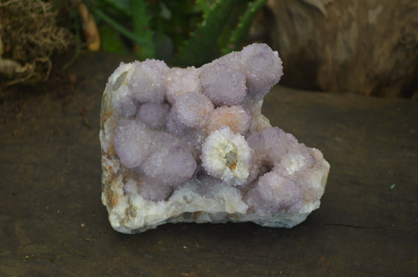 Natural Ametrine Spirit Quartz Cluster x 1 From Boekenhouthoek, South Africa