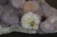 Natural Ametrine Spirit Quartz Cluster x 1 From Boekenhouthoek, South Africa