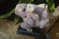 Natural Ametrine Spirit Quartz Cluster x 1 From Boekenhouthoek, South Africa