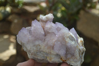 Natural Ametrine Spirit Quartz Cluster x 1 From Boekenhouthoek, South Africa