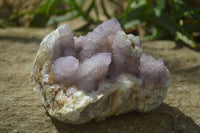 Natural Ametrine Spirit Quartz Cluster x 1 From Boekenhouthoek, South Africa