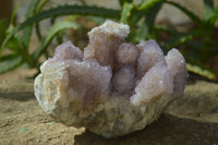 Natural Ametrine Spirit Quartz Cluster x 1 From Boekenhouthoek, South Africa