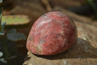 Polished Rhodonite Free Forms x 6 From Zimbabwe