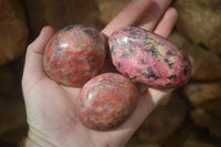 Polished Rhodonite Free Forms x 6 From Zimbabwe