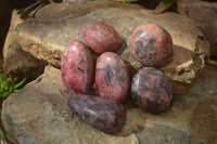 Polished Rhodonite Free Forms x 6 From Zimbabwe