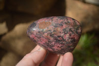 Polished Rhodonite Free Forms x 6 From Zimbabwe