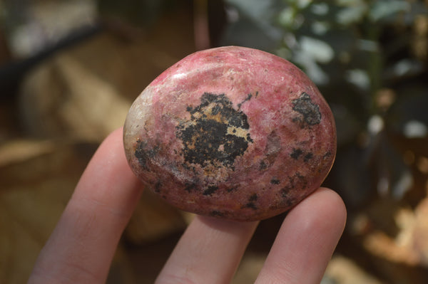 Polished Rhodonite Free Forms x 6 From Zimbabwe