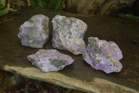 Natural Stichtite Cobbed Specimens x 4 From Barberton, South Africa