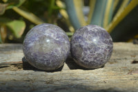 Polished Lepidolite With Rubellite Spheres x 6 From Madagascar