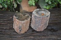 Polished Petrified Wood Branch Pieces x 2 From Gokwe, Zimbabwe